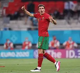 热刺主帅弗兰克谈帕利尼亚未来：短期满意与长期规划的战术权衡